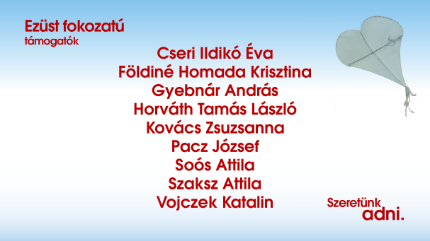 Ezüst támogatók_honlap